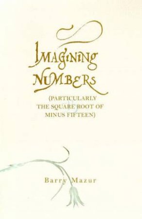Imagining Numbers (Particularly The Square Root Of Minus Fifteen) by Barry Mazur