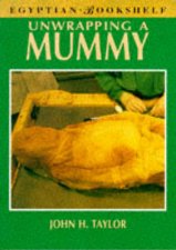 Egyptian Bookshelf Unwrapping A Mummy
