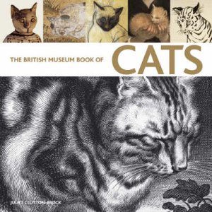British Museum Book Of Cats by Juliet Clutton-Brock