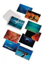 Water Light Time Postcards