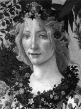 Botticelli