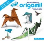 Ready Steady Origami