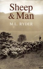 Sheep And Man
