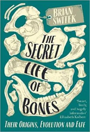 The Secret Life Of Bones: Their Origins, Evolution And Fate by Brian Switek