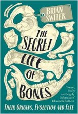 The Secret Life Of Bones Their Origins Evolution And Fate
