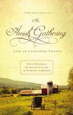 An Amish Gathering Life In Lancaster County