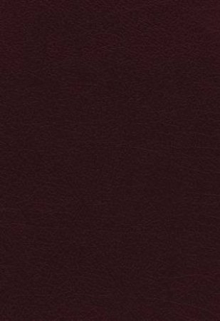 NKJV Vines Expository Bible [Burgundy] by Jerry Vines