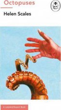 A Ladybird Expert Book Octopuses