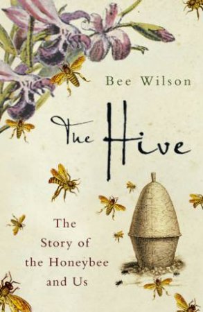 The Hive by Bee Wilson