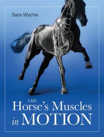 Horse's Muscles In Motion by Sara Wyche