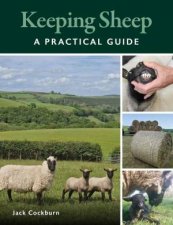 Keeping Sheep A Practical Guide