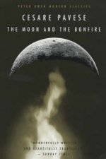 Moon and the Bonfire
