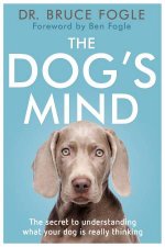 The Dogs Mind