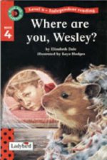 Where Are You Wesley