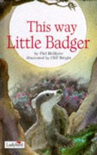 This Way Little Badger