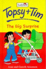 Topsy  Tim Storybook The Big Surprise
