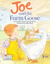 Joe And The Farm Goose