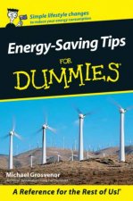 EnergySaving Tips For Dummies