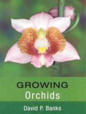 Growing Orchids