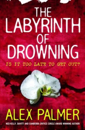The Labyrinth Of Drowning by Alex Palmer