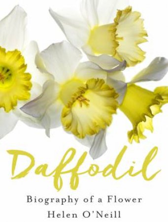 Daffodil: Biography Of A Flower by Helen O'Neill
