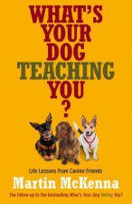 Whats Your Dog Teaching You