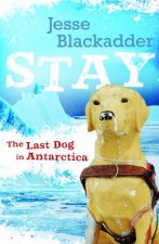 Stay The Last Dog in Antarctica