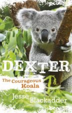 Dexter The Courageous Koala