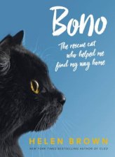 Bono The Rescue Cat Who Helped Me Find My Way Home