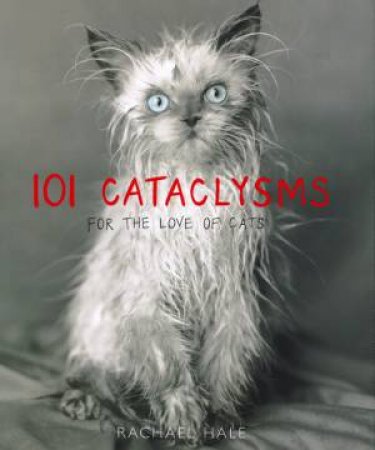 101 Cataclysms: For The Love Of Cats by Rachael Hale