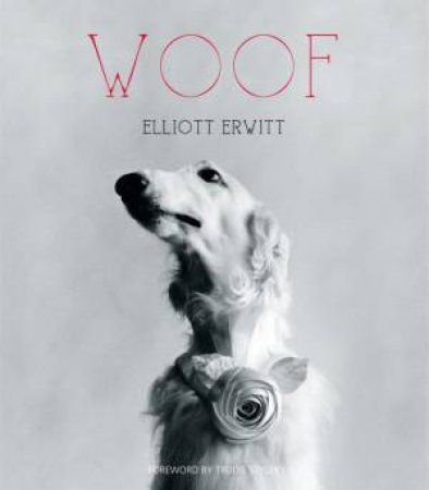 Woof by Elliott Erwitt