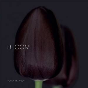 Bloom by Ron Van Dongen