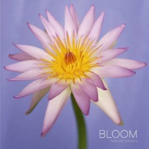 Bloom by Ron Van Dongen