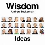 Wisdom Ideas mini