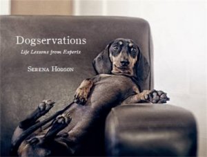 Dogservations by Serena Hodson