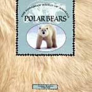 Longman World of Animals : Polar Bears (pack of 4) by Graham & Vial Meadows
