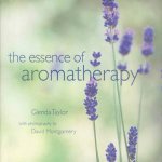 The Essence Of Aromatherapy