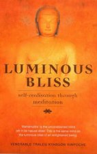 Emerging Bliss SelfRealisation Through Meditation