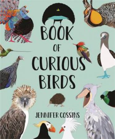 Book Of Curious Birds by Jennifer Cossins