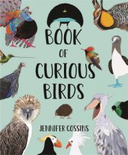 Book Of Curious Birds