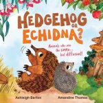 Hedgehog or Echidna