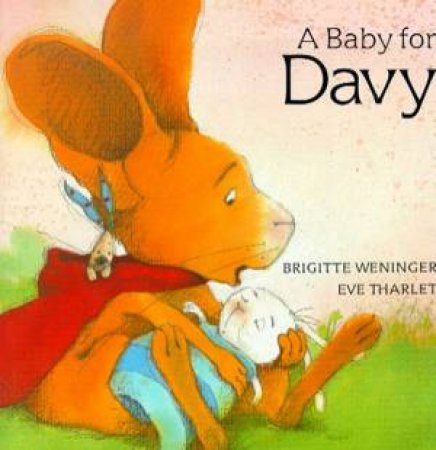 A Baby For Davy by Brigitte Weninger & Eve Tharlet