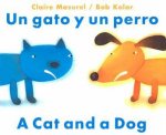 Cat and a Dog  Un Gato y Un Perro