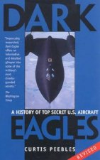 Dark Eagles A History Of Top Secret US Aircraft