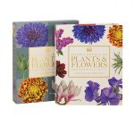 Encyclopedia of Plants  Flowers