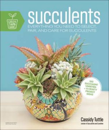 Succulents by Cassidy Tuttle