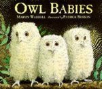 Owl Babies Board Book