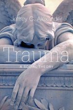 Trauma  a Social Theory