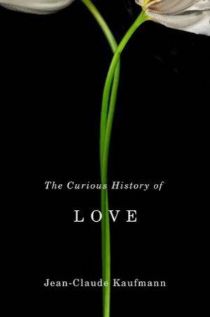 The Curious History of Love by Jean-Claude Kaufmann