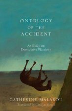 Ontology of the Accident  an Essay on Destructive Plasticity
